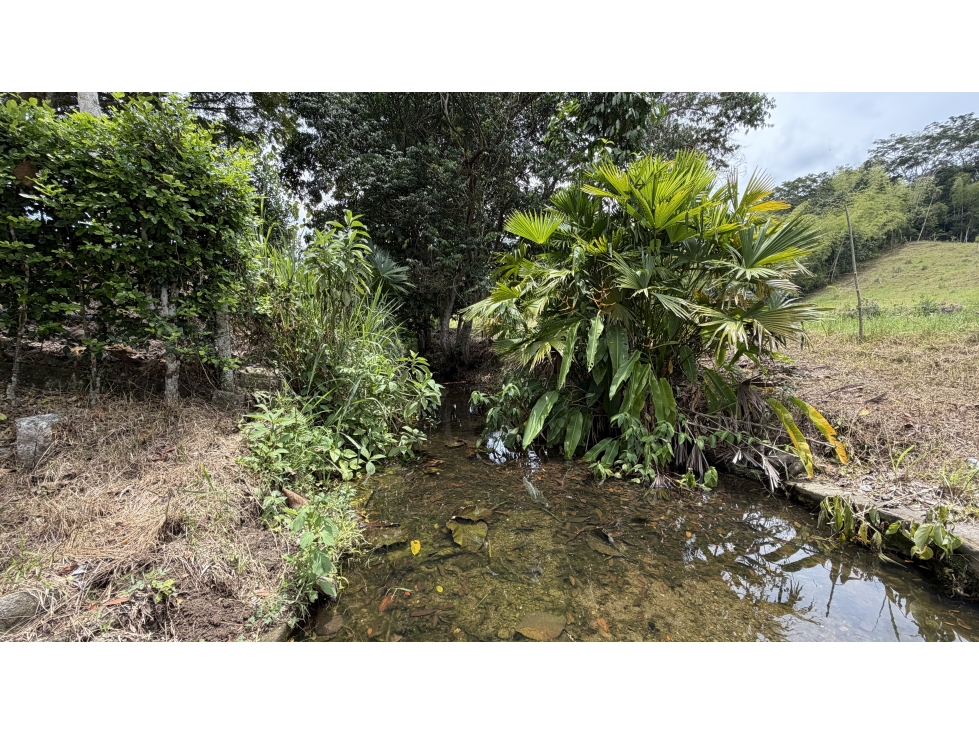 VENTA DE FINCA EN MONTENEGRO, QUINDÍO, COLOMBIA - 2