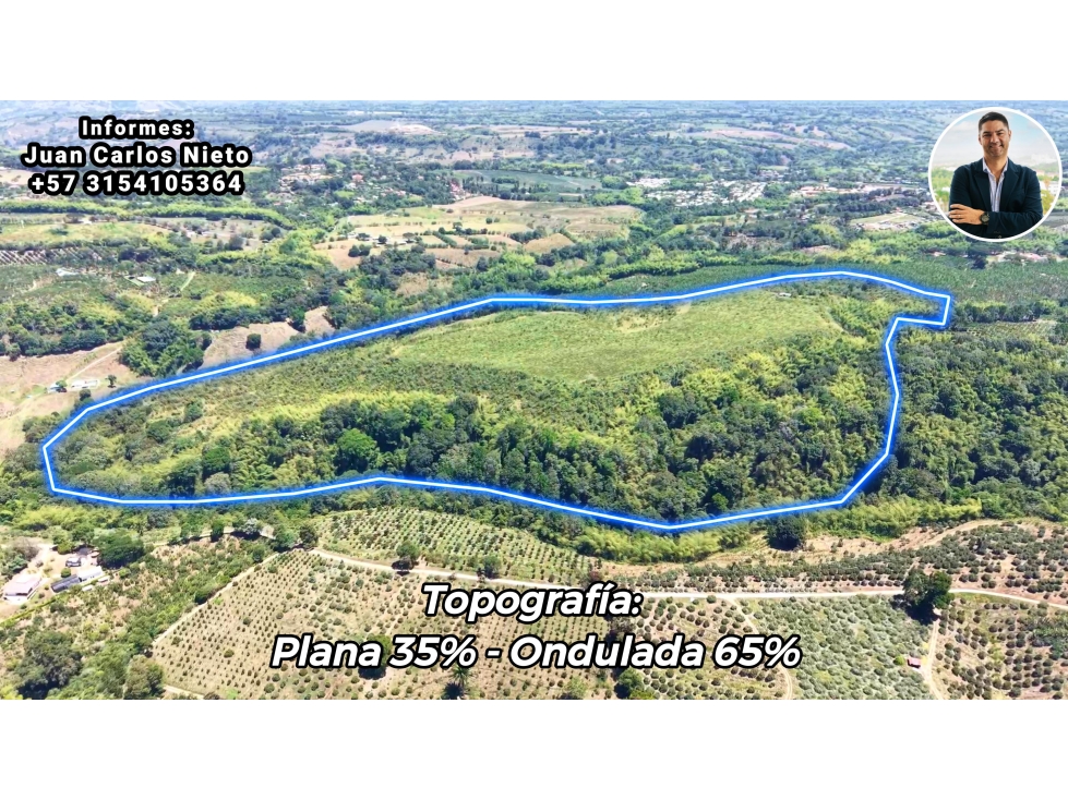 VENTA DE FINCA EN TEBAIDA, QUINDÍO, COLOMBIA - 2