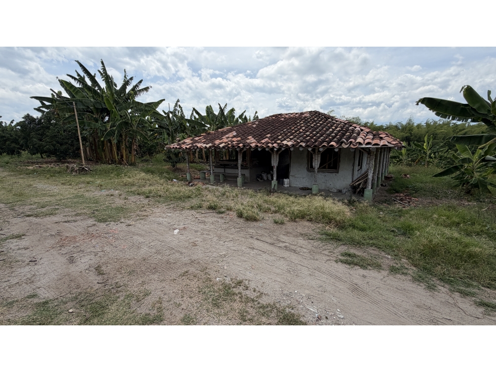 VENTA DE FINCA EN TEBAIDA, QUINDÍO, COLOMBIA - 2