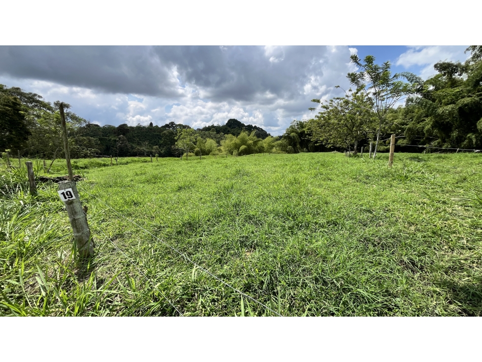 VENTA DE FINCA EN CIRCASIA, QUINDÍO, COLOMBIA — foto 3