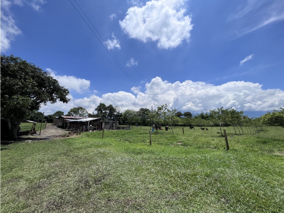VENTA DE LOTE CAMPESTRE EN ARMENIA, QUINDIO, COLOMBIA — foto 5