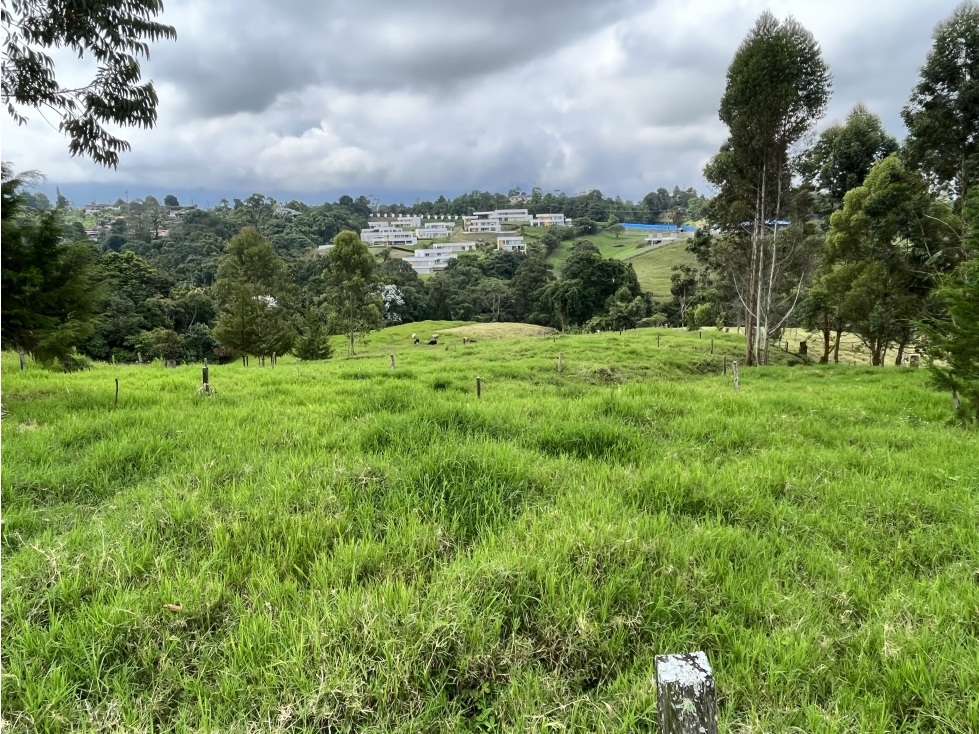 VENTA DE FINCA EN CIRCASIA, QUINDIO, COLOMBIA - 6