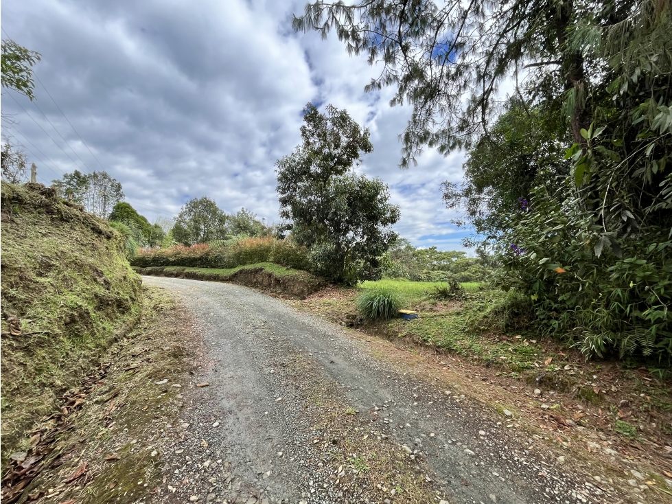 VENTA DE LOTE CAMPESTRE EN FILANDIA, QUINDIO, COLOMBIA - 2