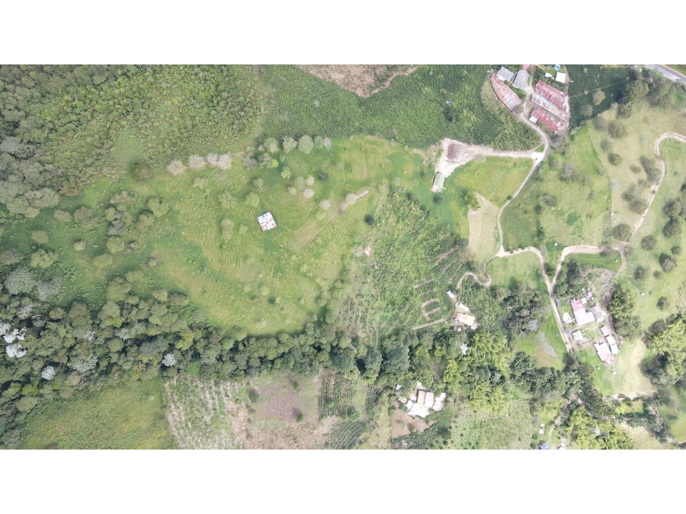 VENTA DE FINCA EN CALARCÁ, QUINDÍO, COLOMBIA - 4