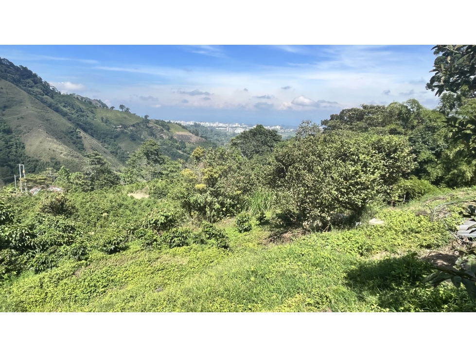 VENTA DE FINCA EN SALENTO, QUINDÍO, COLOMBIA - 6