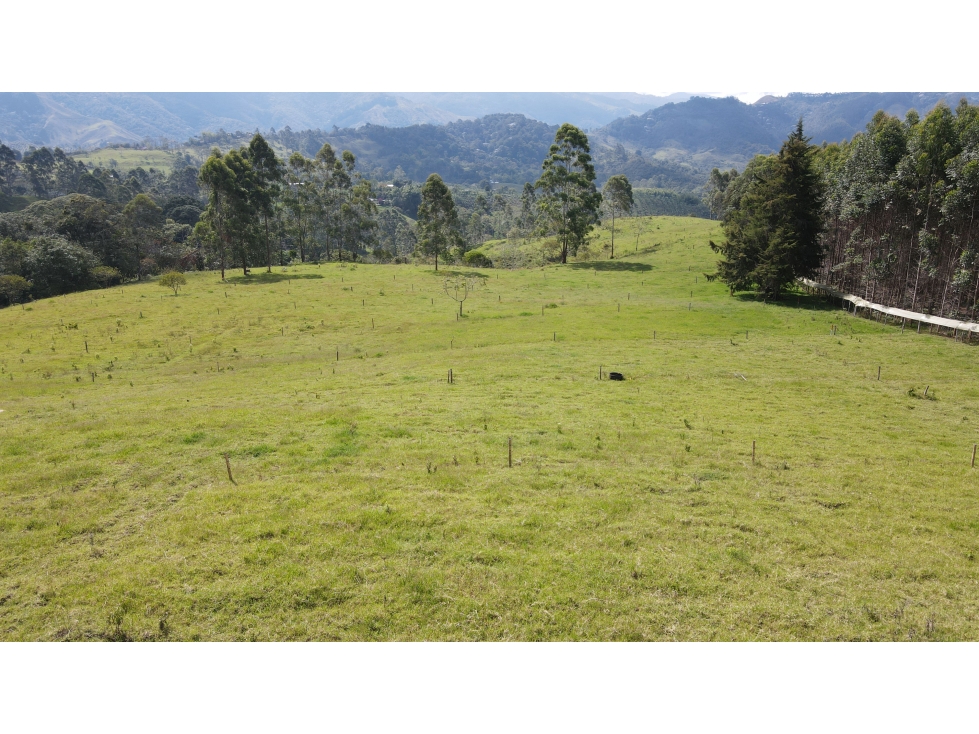 VENTA DE FINCA EN SALENTO, QUINDÍO, COLOMBIA - 4