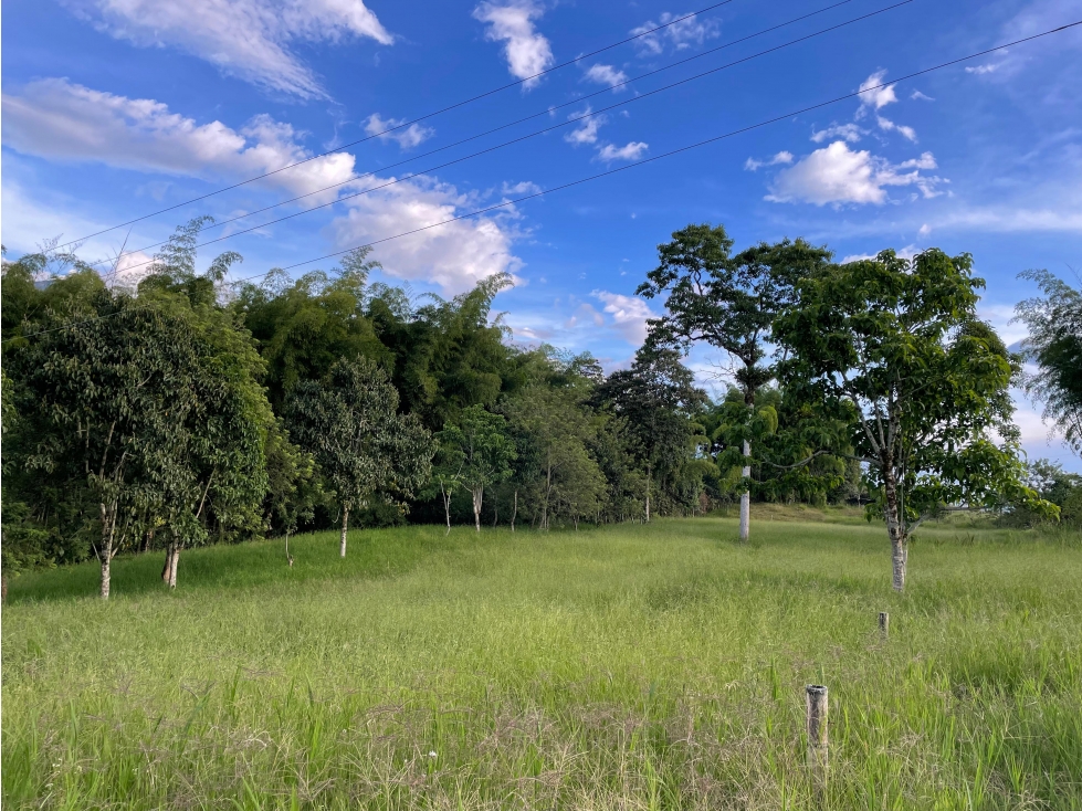 VENTA DE LOTE CAMPESTRE EN CALARCÁ, QUINDÍO, COLOMBIA - 5