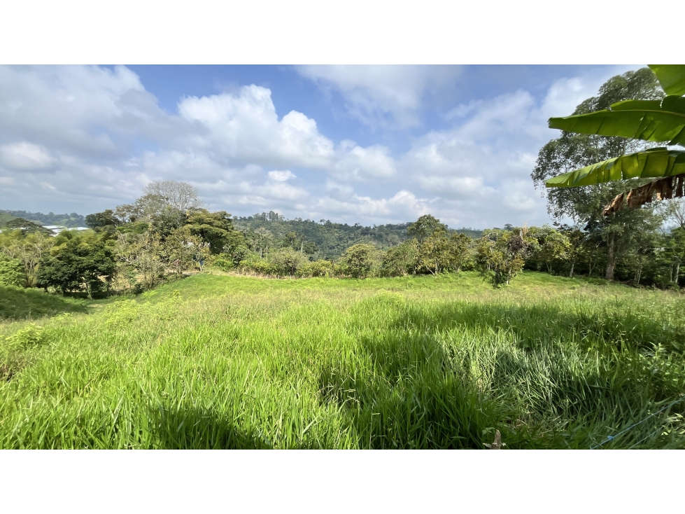 VENTA DE FINCA EN CIRCASIA, QUINDÍO, COLOMBIA — foto 5