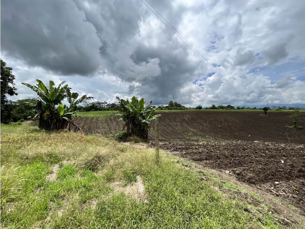 VENTA DE FINCA EN TEBAIDA, QUINDÍO, COLOMBIA - 3