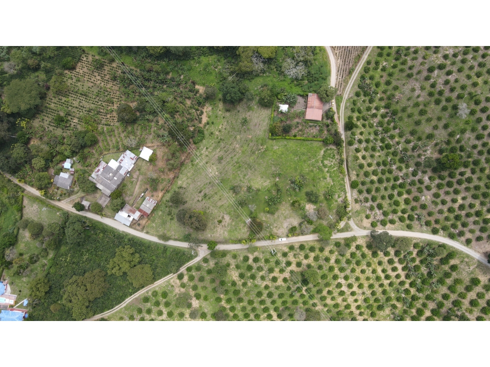 VENTA DE LOTE EN MONTENEGRO, QUINDÍO, COLOMBIA - 2
