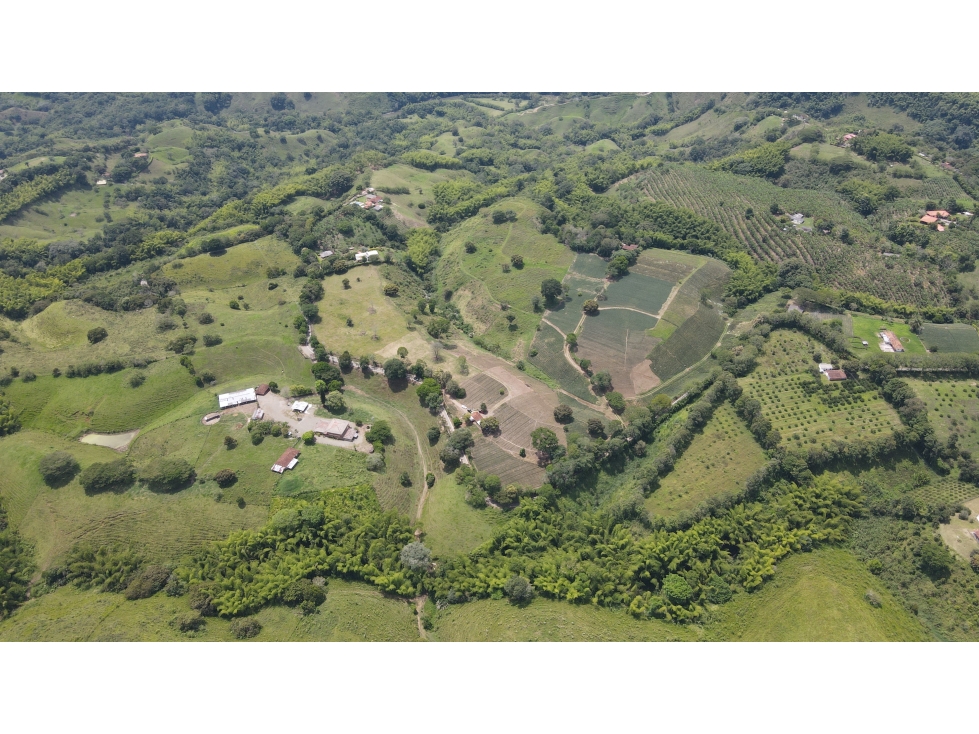 VENTA DE FINCA EN QUIMBAYA, QUINDÍO, COLOMBIA - 3