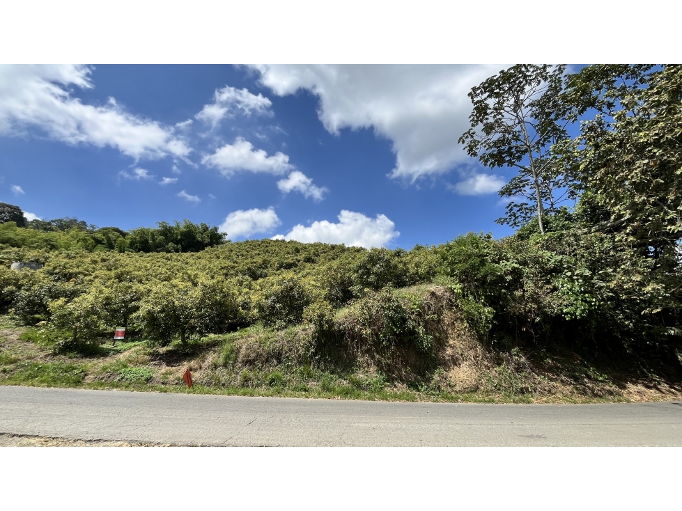 VENTA DE FINCA EN PIJAO, QUINDÍO, COLOMBIA - 4