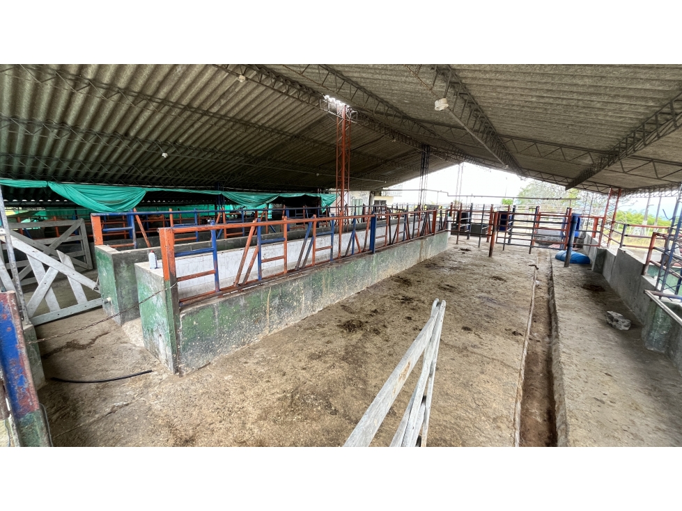 VENTA DE FINCA EN CIRCASIA, QUINDÍO, COLOMBIA — foto 5