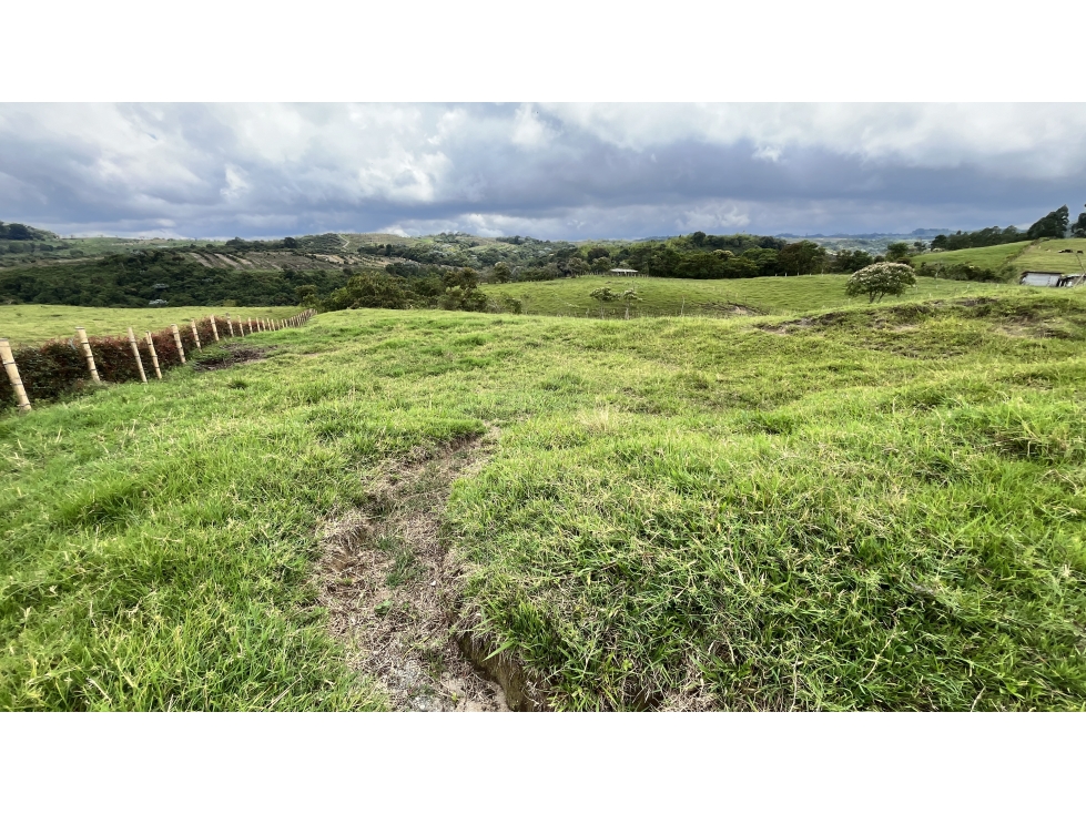 VENTA DE LOTE EN CIRCASIA, QUINDÍO, COLOMBIA - 2