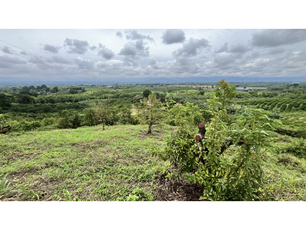 VENTA DE HERMOSO LOTE EN MONTENEGRO, QUINDÍO, COLOMBIA - 3