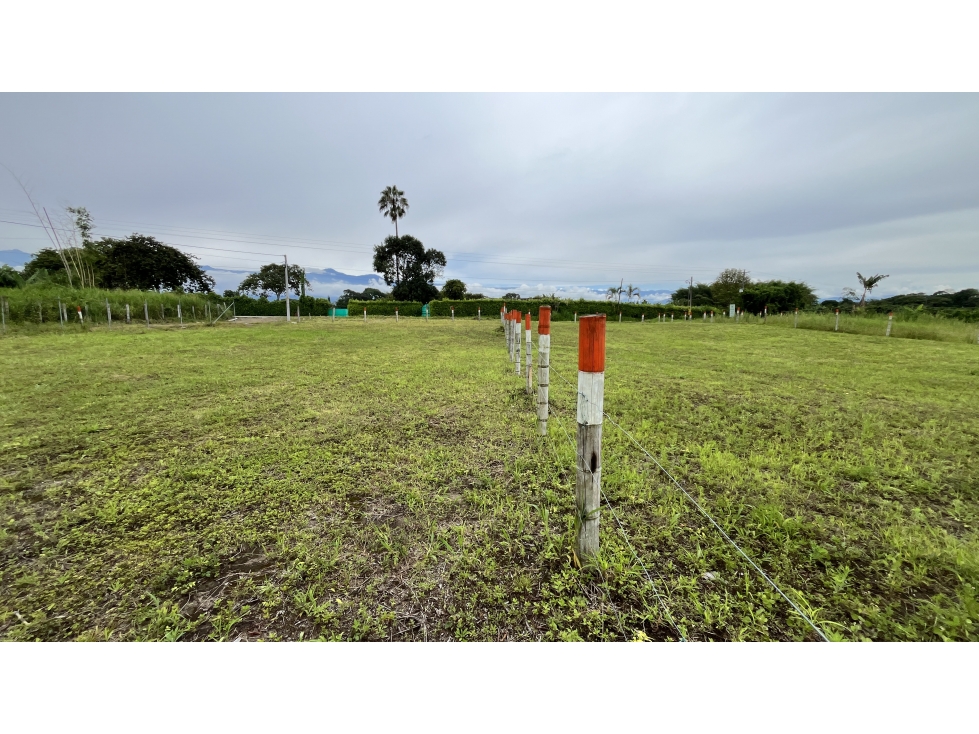 VENTA DE LOTES EN ARMENIA, QUINDÍO, COLOMBIA — foto 5