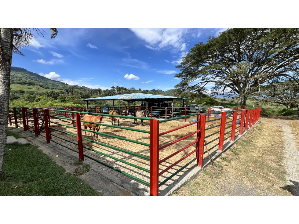 VENTA DE FINCA GANADERA EN OBANDO, VALLE, COLOMBIA - 4