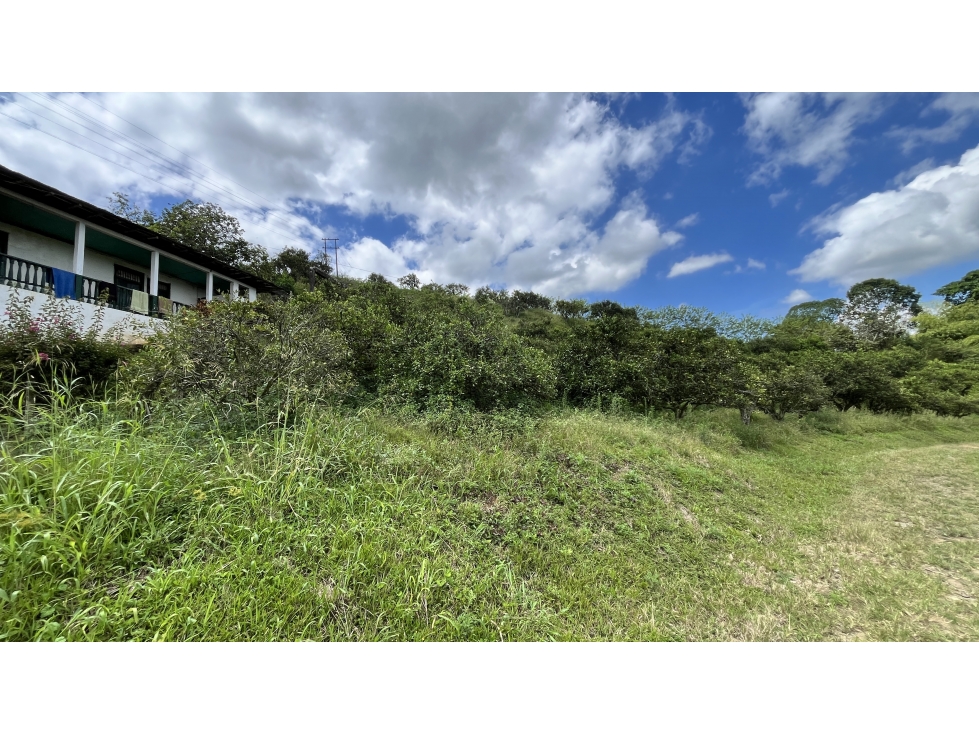 VENTA DE FINCA EN BUENAVISTA, QUINDÍO, COLOMBIA - 3