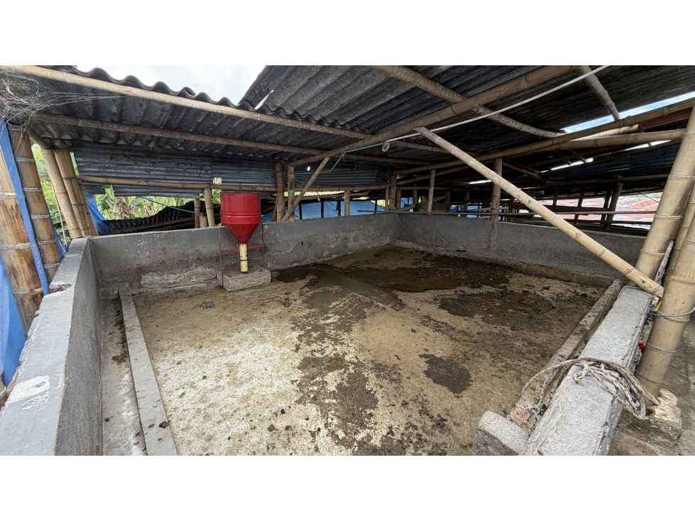 VENTA DE FINCA EN CIRCASIA, QUINDÍO, COLOMBIA — foto 3