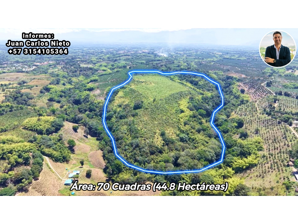 VENTA DE FINCA EN TEBAIDA, QUINDÍO, COLOMBIA - 3