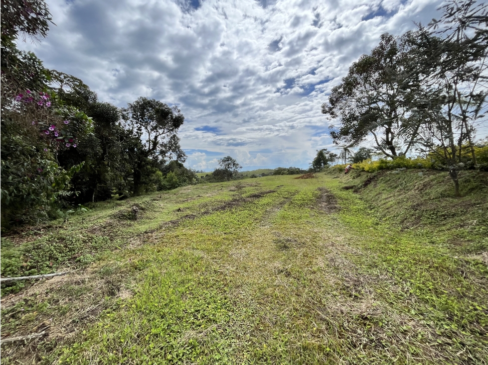 VENTA DE LOTE CAMPESTRE EN FILANDIA, QUINDIO, COLOMBIA - 5
