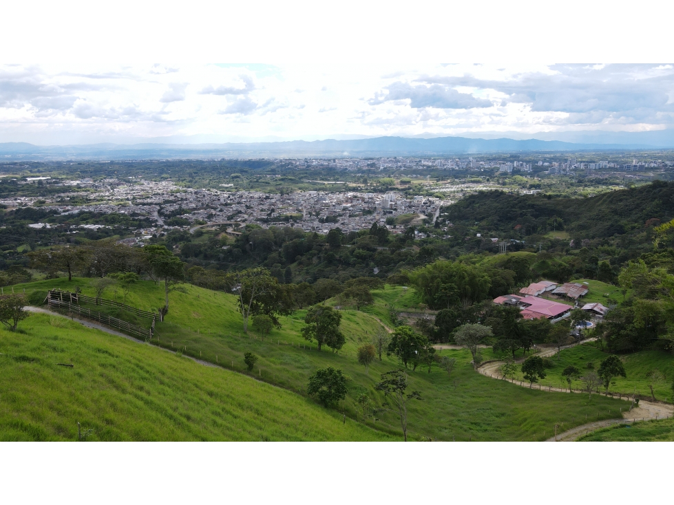 VENTA DE FINCA EN CALARCÁ, QUINDÍO, COLOMBIA - 5
