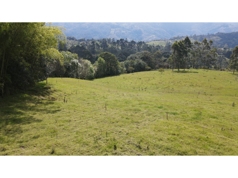 VENTA DE FINCA EN SALENTO, QUINDÍO, COLOMBIA - 5