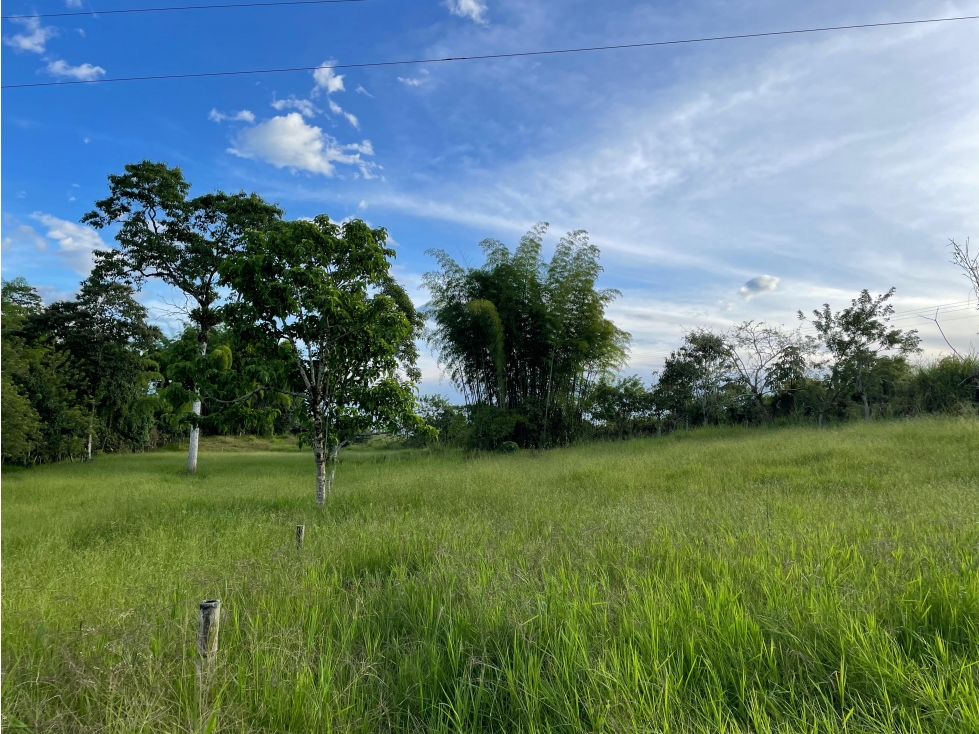 VENTA DE LOTE CAMPESTRE EN CALARCÁ, QUINDÍO, COLOMBIA - 6