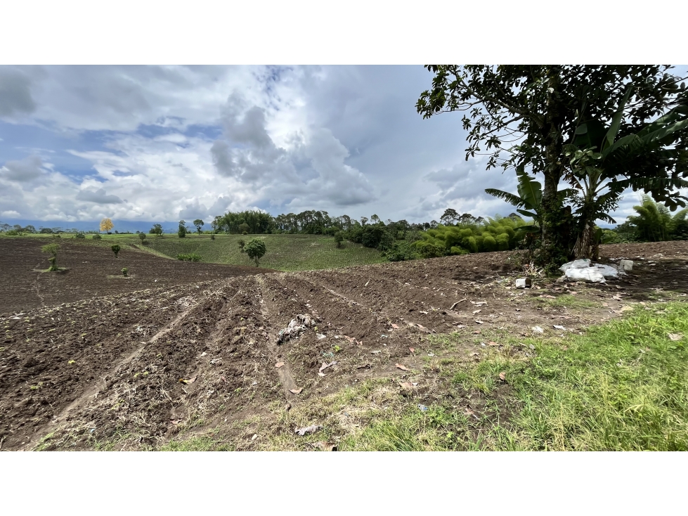 VENTA DE FINCA EN TEBAIDA, QUINDÍO, COLOMBIA - 4