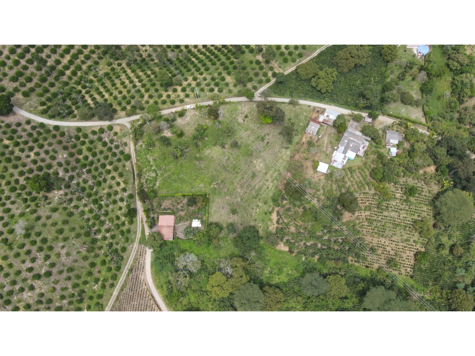 VENTA DE LOTE EN MONTENEGRO, QUINDÍO, COLOMBIA - 3