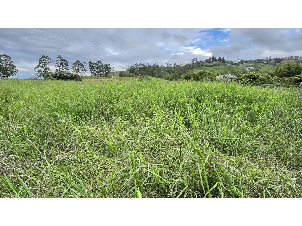 VENTA DE FINCA EN FILANDIA, QUINDÍO, COLOMBIA - 5