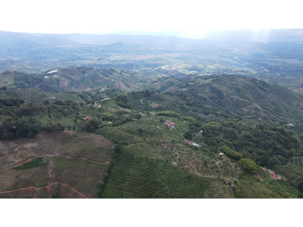 VENTA DE FINCA EN BUENAVISTA, QUINDÍO, COLOMBIA - 5