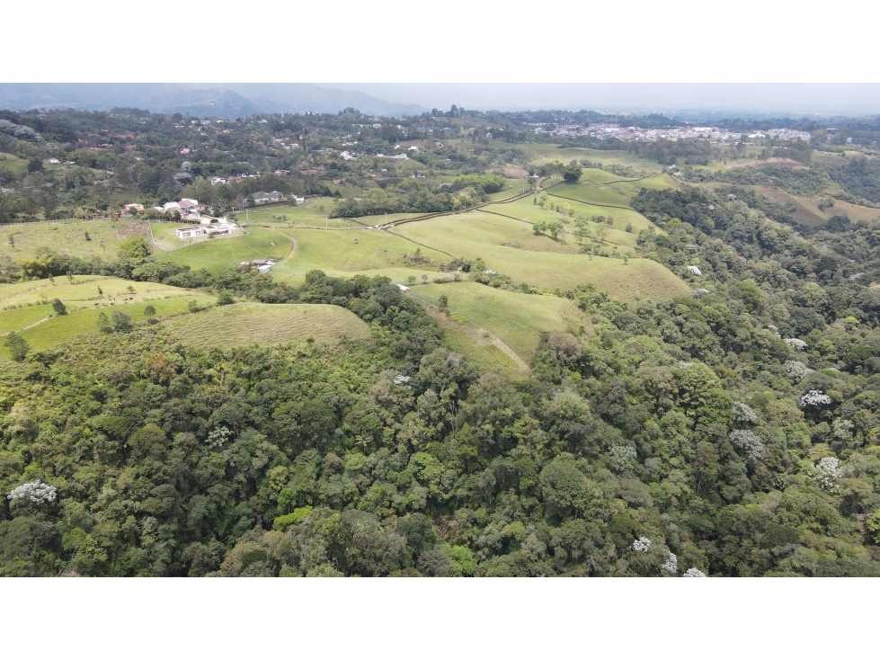VENTA DE LOTE EN CIRCASIA, QUINDÍO, COLOMBIA - 3