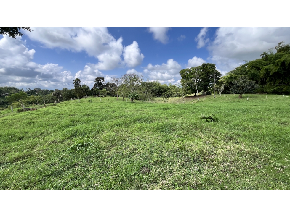 VENTA DE FINCA EN CIRCASIA, QUINDÍO, COLOMBIA — foto 4