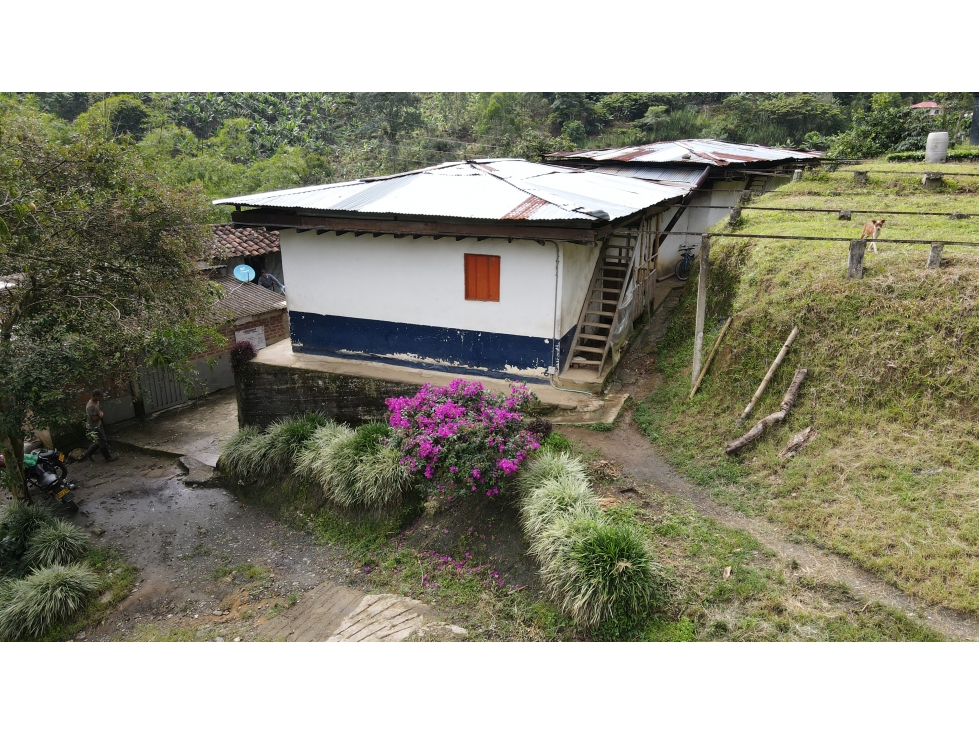 VENTA DE FINCA EN PIJAO, QUINDÍO, COLOMBIA - 1