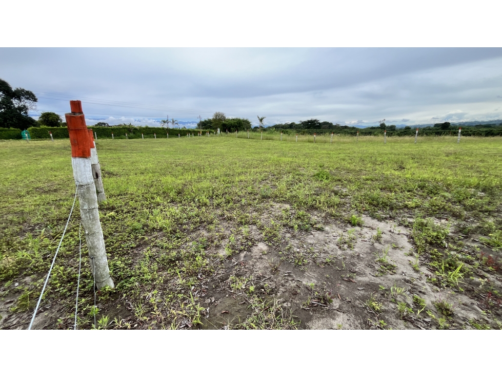 VENTA DE LOTES EN ARMENIA, QUINDÍO, COLOMBIA — foto 6