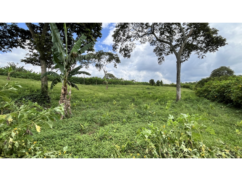 VENTA DE ESPECTACULARES LOTES EN ARMENIA, QUINDÍO, COLOMBIA — foto 2
