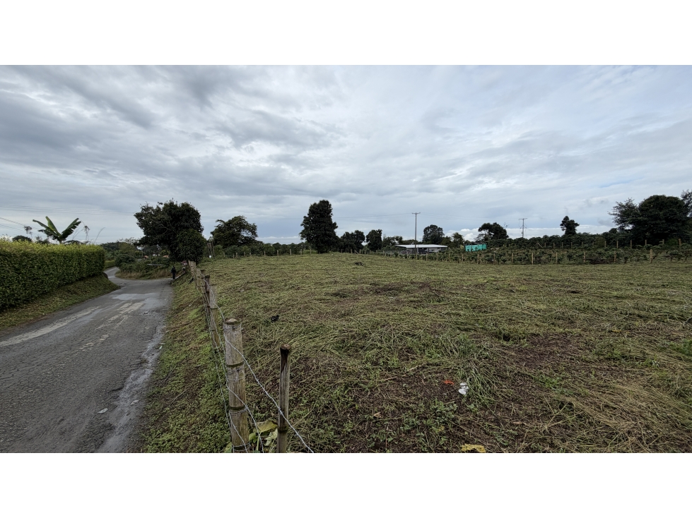 VENTA DE LOTE EN QUIMBAYA, QUINDÍO, COLOMBIA - 4