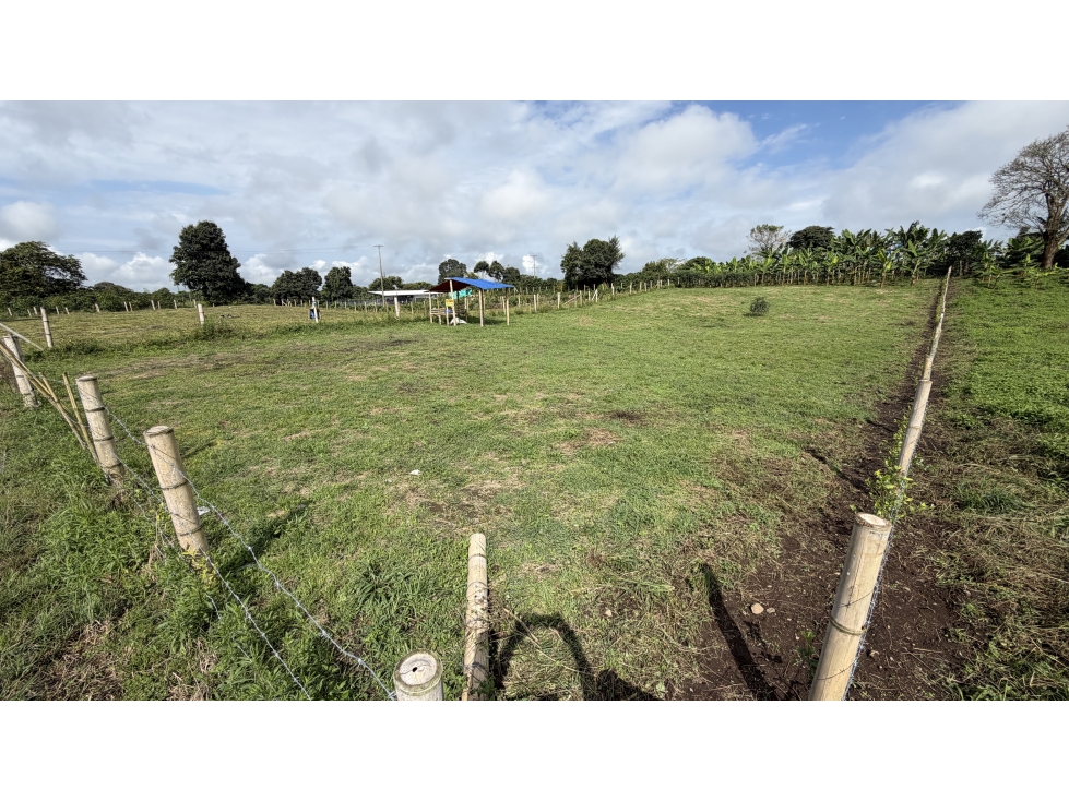 VENTA DE LOTE EN QUIMBAYA, QUINDÍO, COLOMBIA - 4