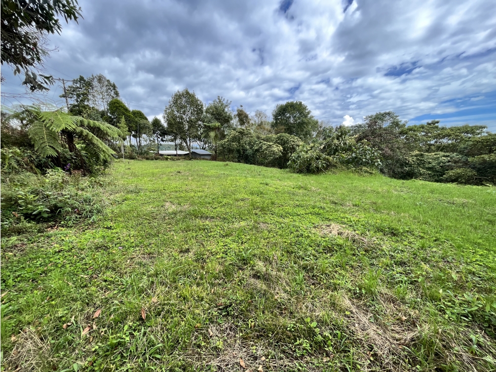 VENTA DE LOTE CAMPESTRE EN FILANDIA, QUINDIO, COLOMBIA - 6
