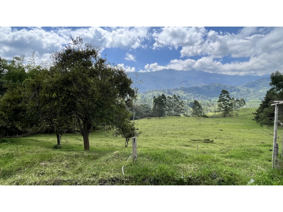 VENTA DE FINCA EN SALENTO, QUINDÍO, COLOMBIA - 6