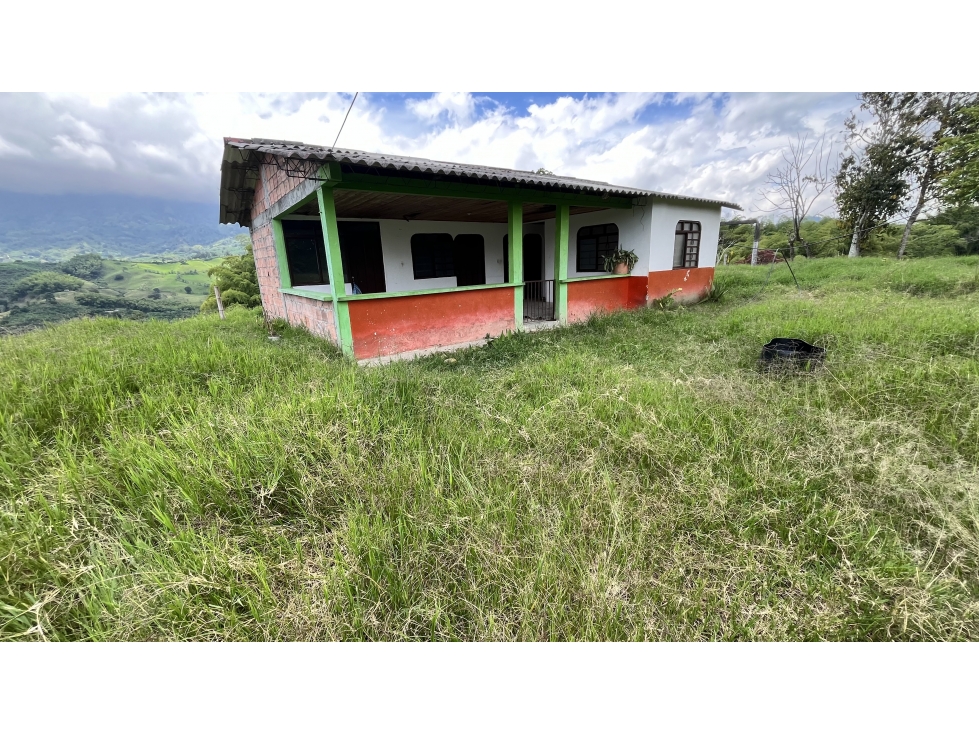 VENTA DE LOTE CAMPESTRE EN CALARCÁ, QUINDÍO, COLOMBIA - 2