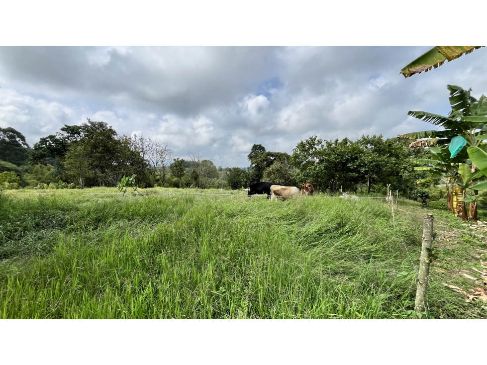 VENTA DE FINCA EN CIRCASIA, QUINDÍO, COLOMBIA — foto 6
