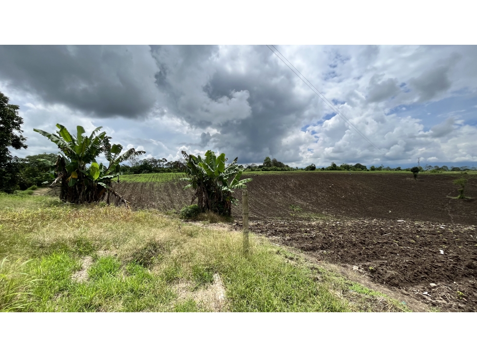 VENTA DE FINCA EN TEBAIDA, QUINDÍO, COLOMBIA - 5
