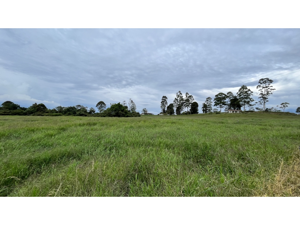 VENTA DE FINCA EN FILANDIA, QUINDÍO, COLOMBIA - 6