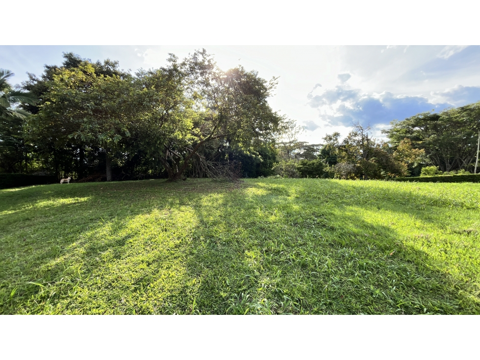 VENTA DE LOTE EN CALARCÁ, QUINDÍO, COLOMBIA - 6