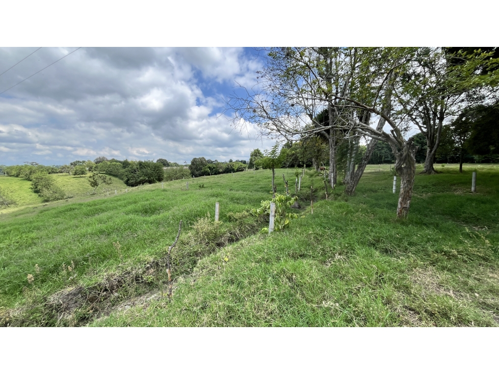 VENTA DE FINCA EN CALARCÁ, QUINDÍO, COLOMBIA - 6