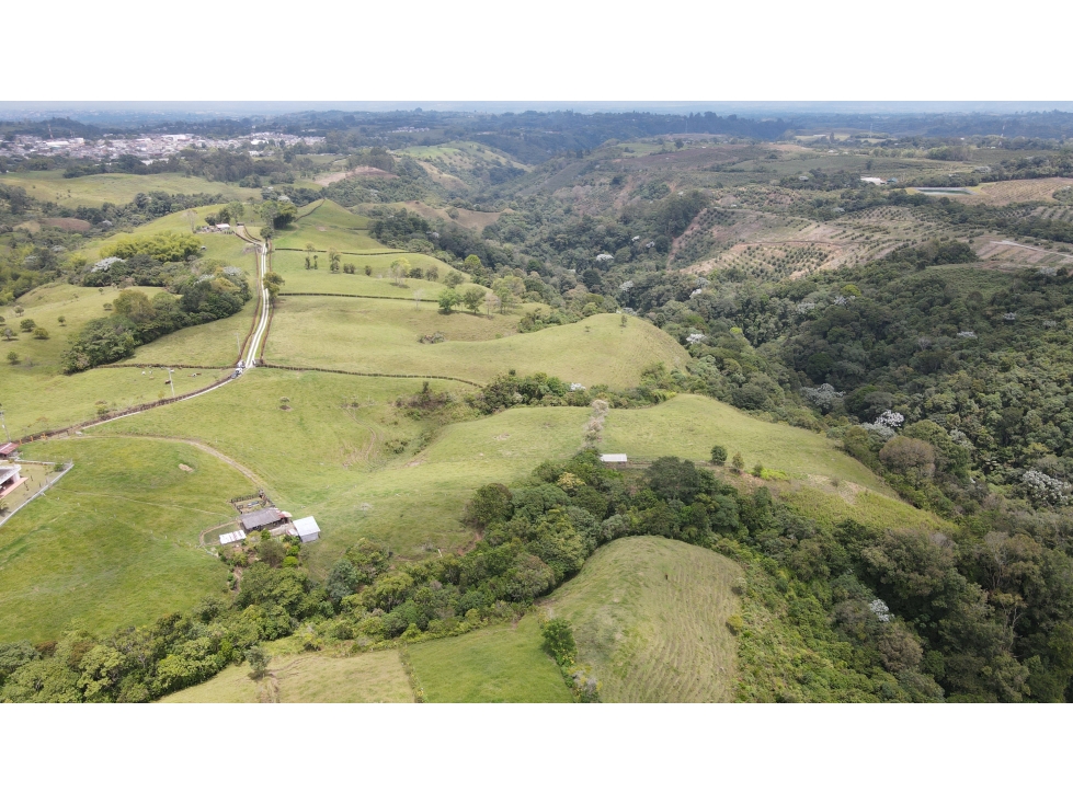 VENTA DE LOTE EN CIRCASIA, QUINDÍO, COLOMBIA - 4