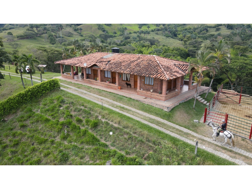 VENTA DE FINCA GANADERA EN OBANDO, VALLE, COLOMBIA - 1