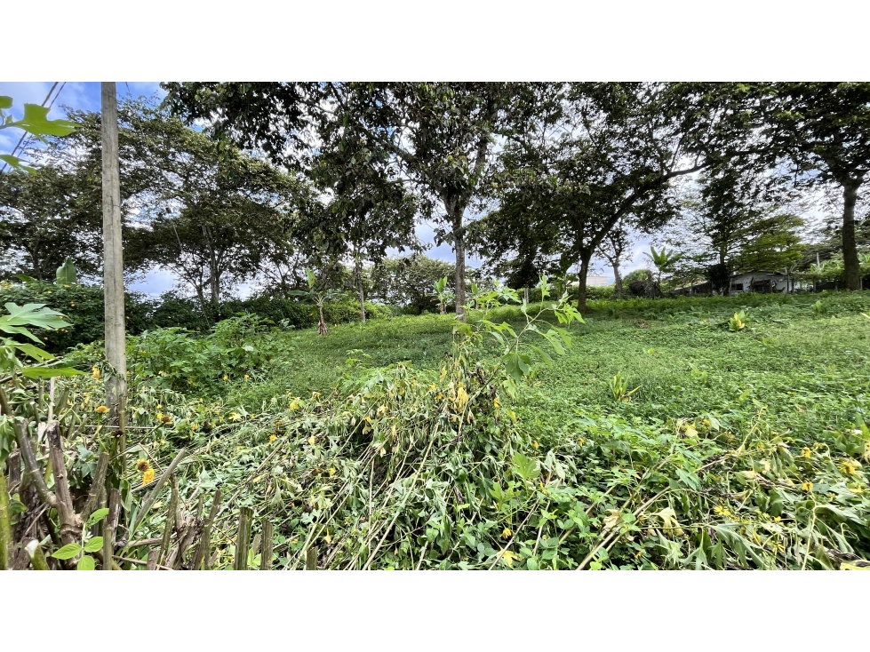 VENTA DE ESPECTACULARES LOTES EN ARMENIA, QUINDÍO, COLOMBIA — foto 3